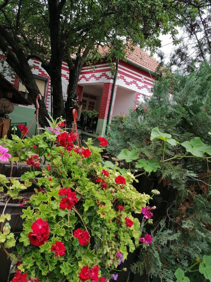 Etno Apartmani "Vlaska Kuca" Kladovo Eksteriør bilde